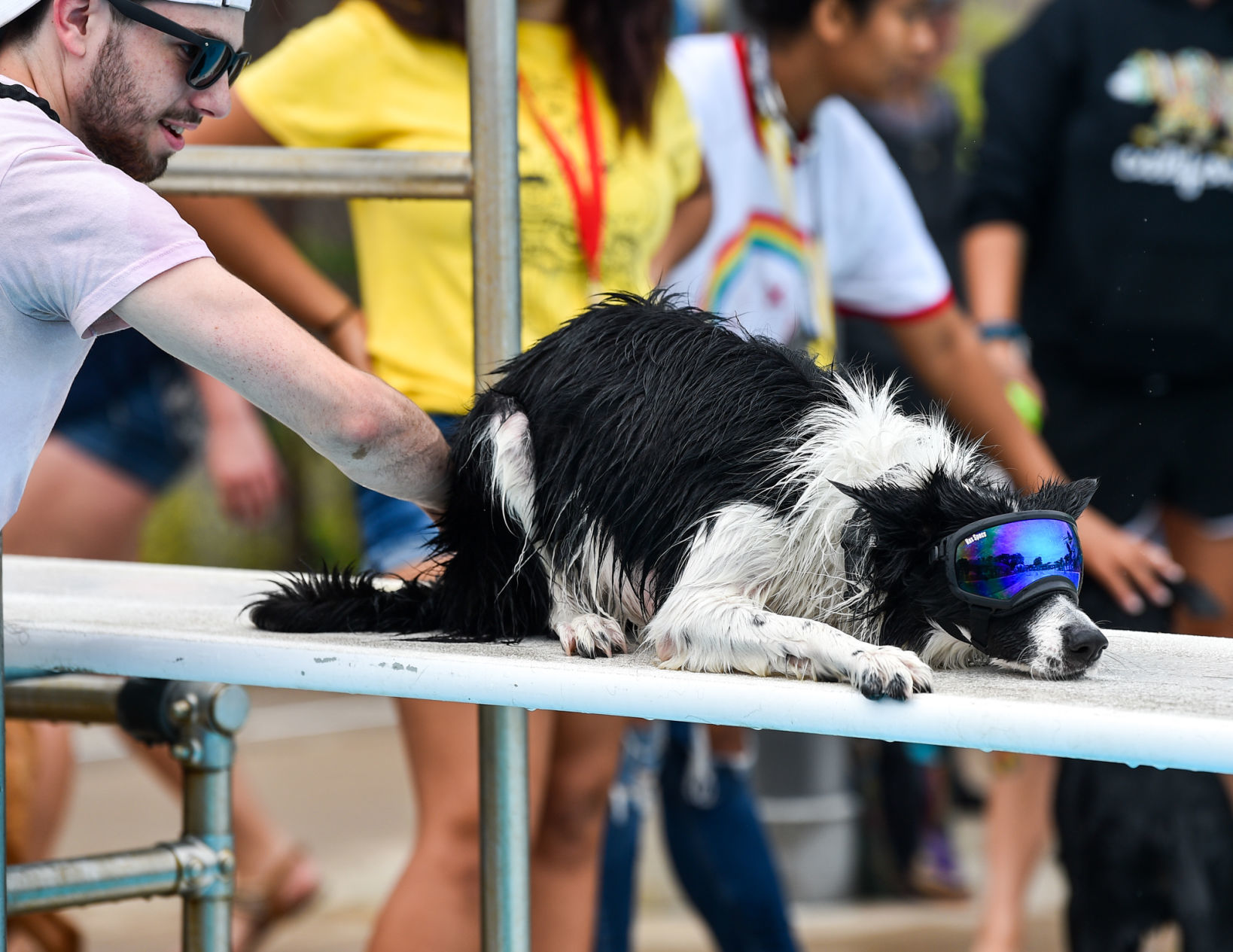 082919-bet-doggysplash-134a.JPG